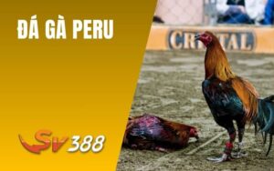 Đá Gà Peru