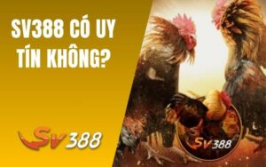 SV388 Có Uy Tín Không?